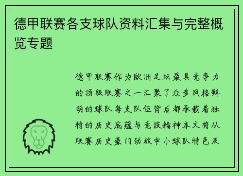 德甲联赛各支球队资料汇集与完整概览专题