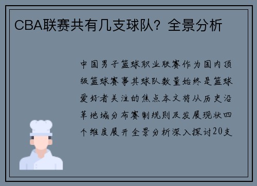 CBA联赛共有几支球队？全景分析