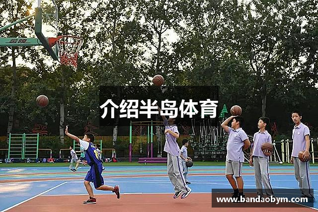 介绍半岛体育
