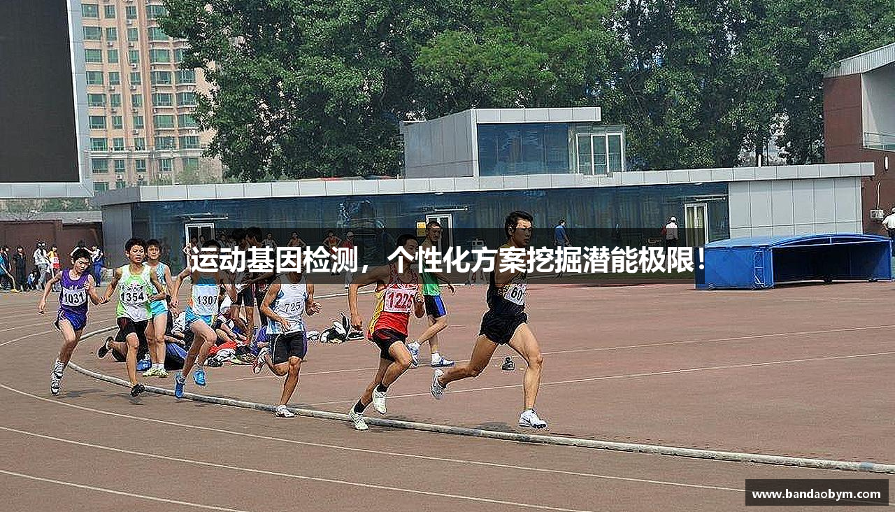 半岛体育